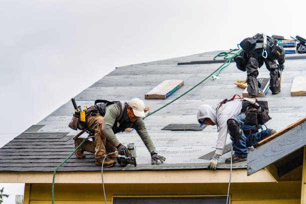 Professional Roof Installation technician working in Lewisville, ID